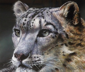 Snow Leopard by John Palmer